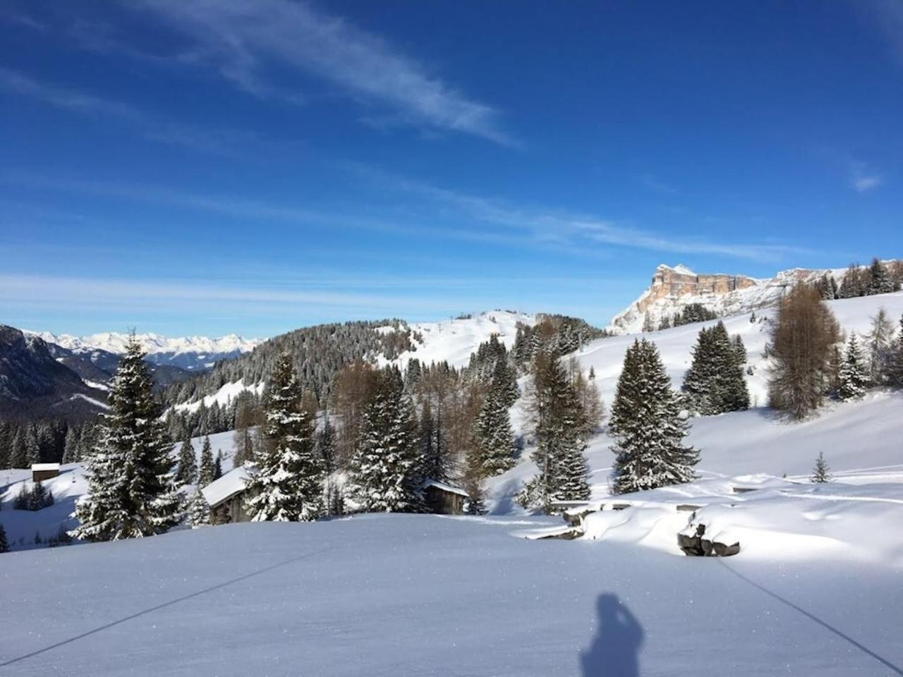 Appartement Da La Vedla flats - LISA à San Cassiano  Extérieur photo